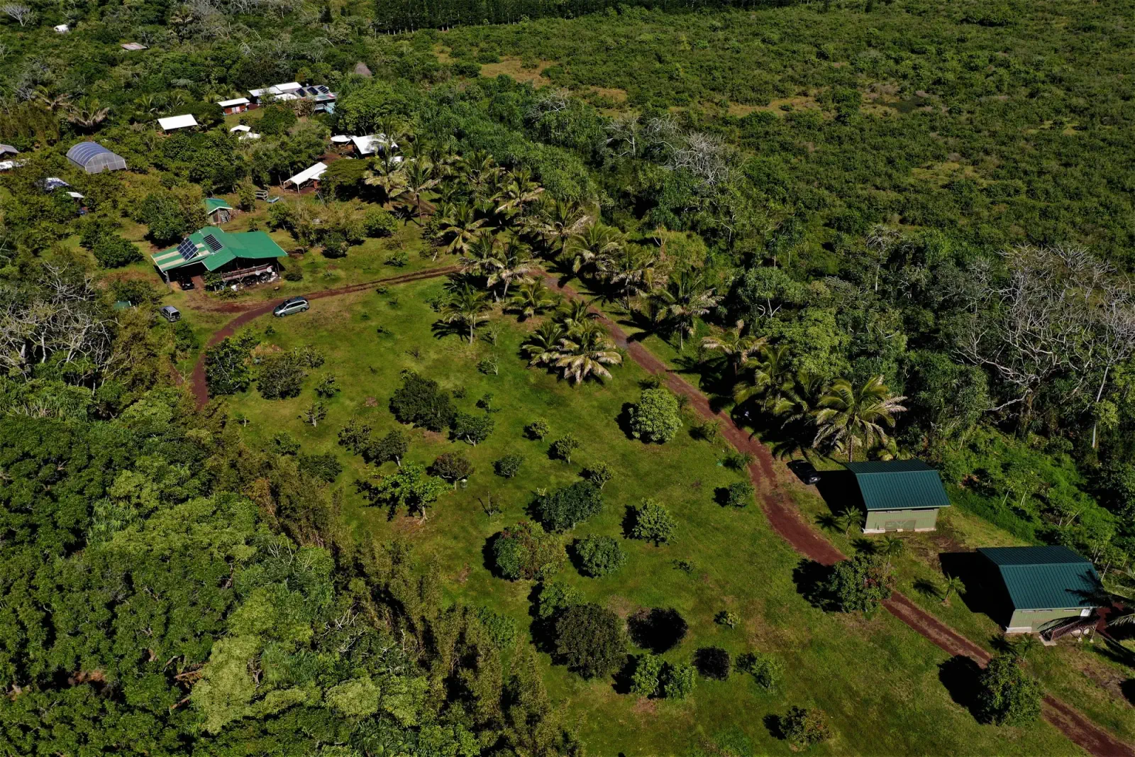 Aerial view of KMEC’s orchard, cabins, and surrounding tropical forest