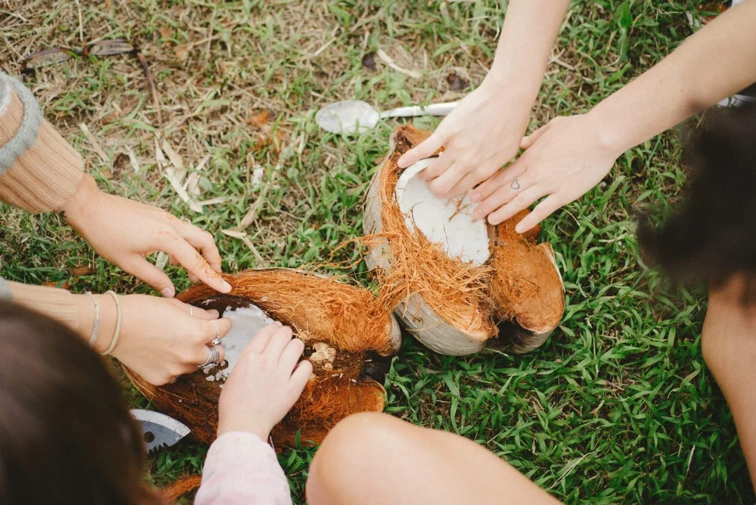 Guests opening fresh coconuts together on the KMEC grounds