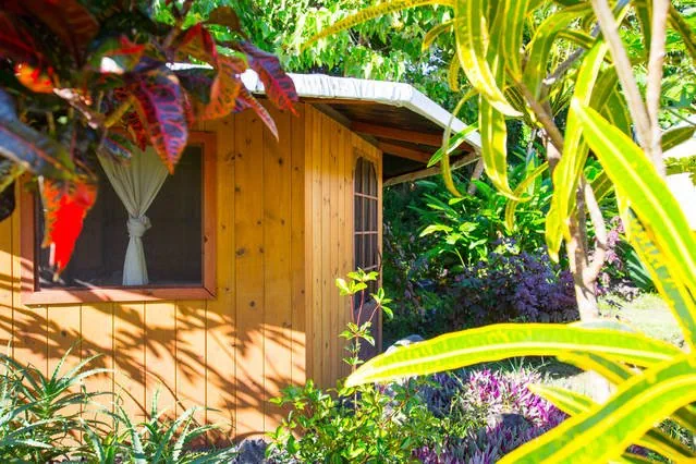 A handcrafted guest cabin nestled among tropical fruit trees